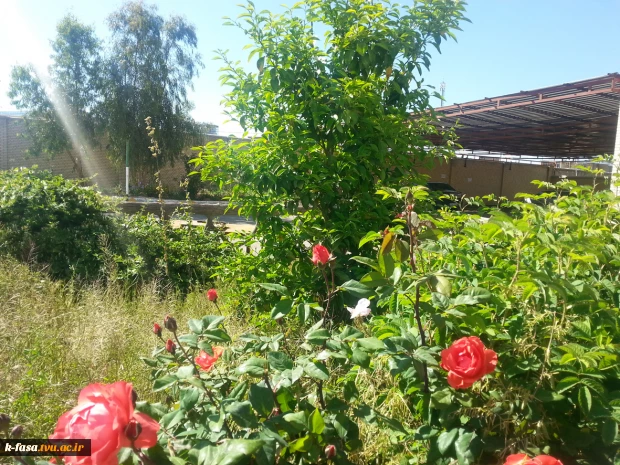 طبیعت بهار