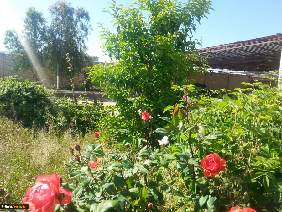 طبیعت بهار