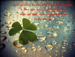 هفته بسیج