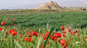 آثار باستانی تل ضحاک فسا