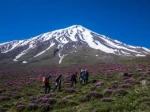 صعود دانشجوی آموزشکده فنی و کشورزی فسا به قله دماوند  2