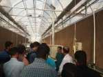 بازدید از گلخانه حضرت فاطمه الزهرا (س) 8