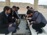 مراسم غبارروبی ، عطر افشانی و گلباران مرقد مطهر شهید انقلاب شهرستان فسا 3
