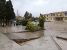 تصاویر دانشگاه 3