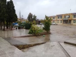 تصاویر دانشگاه 3