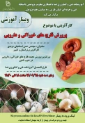 وبینار آموزشی و کارآفرینی در هفته پژوهش آموزشکده فنی و کشاورزی فسا 7
