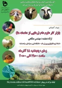برگزاری وبینارهای هفته پژوهش 5