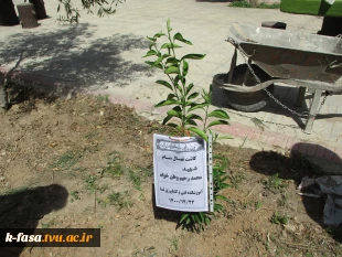 گرامیداشت روز شهداء 3