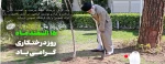 15 اسفند، روز درختکاری و آغاز هفته منابع طبیعی مبارک باد