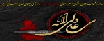 سالروز شهادت مولای متقیان امیرمؤمنان امام علی علیه السلام را تسلیت می گوییم